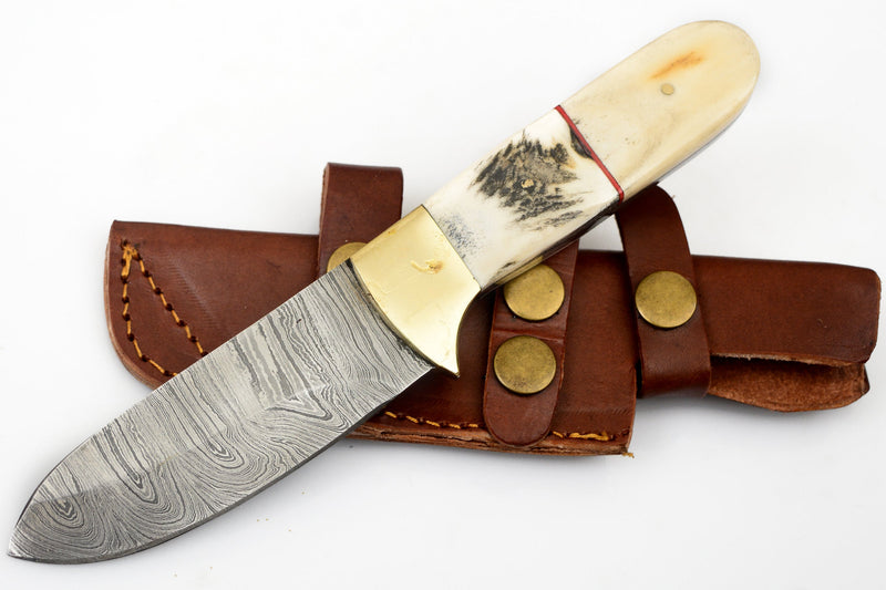 8.5 inch Red Deer® Damuscus Hunting Knife W. Case Stag and Bone handle