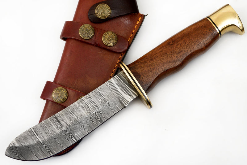 Red Deer® Damuscus Hunting Knife W. Case Stag and Brown handle