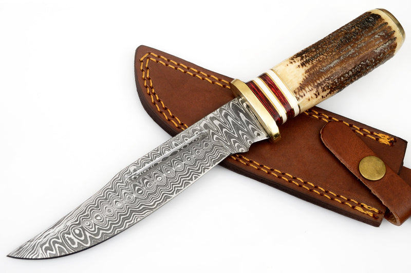 Red Deer® Damuscus Hunting Knife W. Case Stag and Bone handle Brown