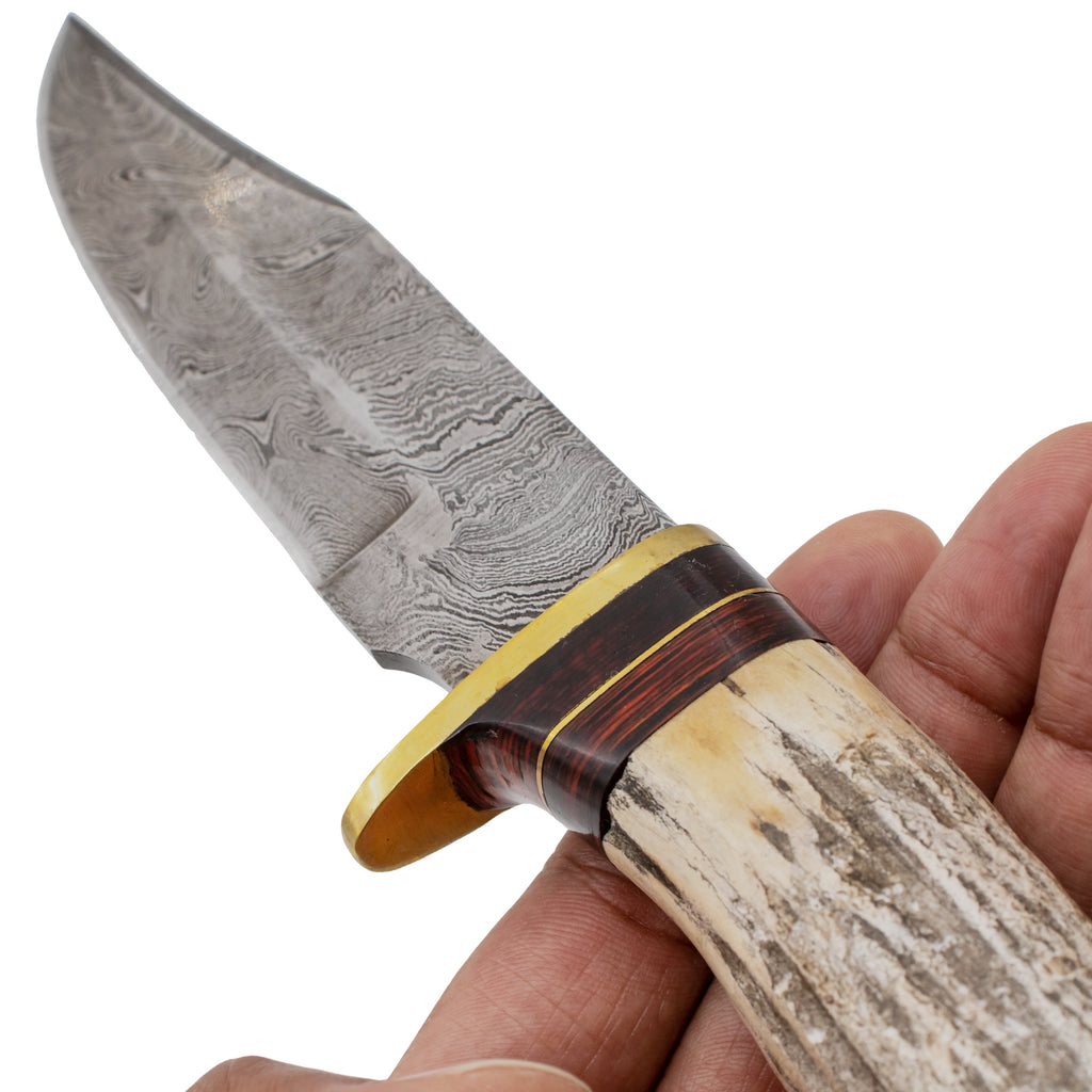 Red Deer Stag Handle Damascus Knife