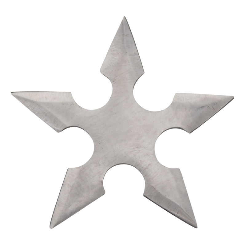 Deadly Assassin Stainless Steel Throwing Star