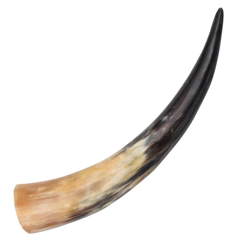 Medieval Animal Drinking Horn (Real Animal Horn), , Panther Trading Company- Panther Wholesale