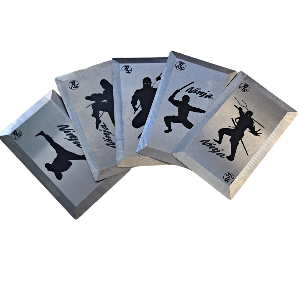 NINJA- Silver 5 piece Throwing Cards with Nylon Case