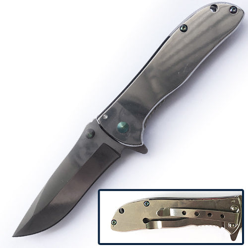 Spring Assisted Folding Knife - Silver (SJ-1020-SL)