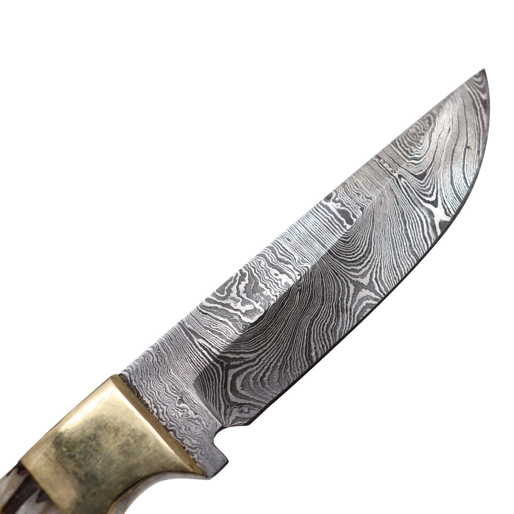 Red Deer® 8.5" Bone Handle Damascus Blade Knife with Leather Sheath